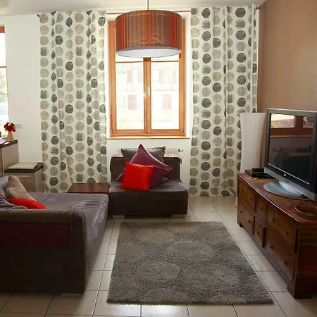 Charming 3 Bdr Swiss Border Apartman Hegenheim