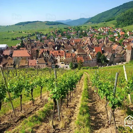 Charming 3 Bdr Swiss Border Apartman Hegenheim
